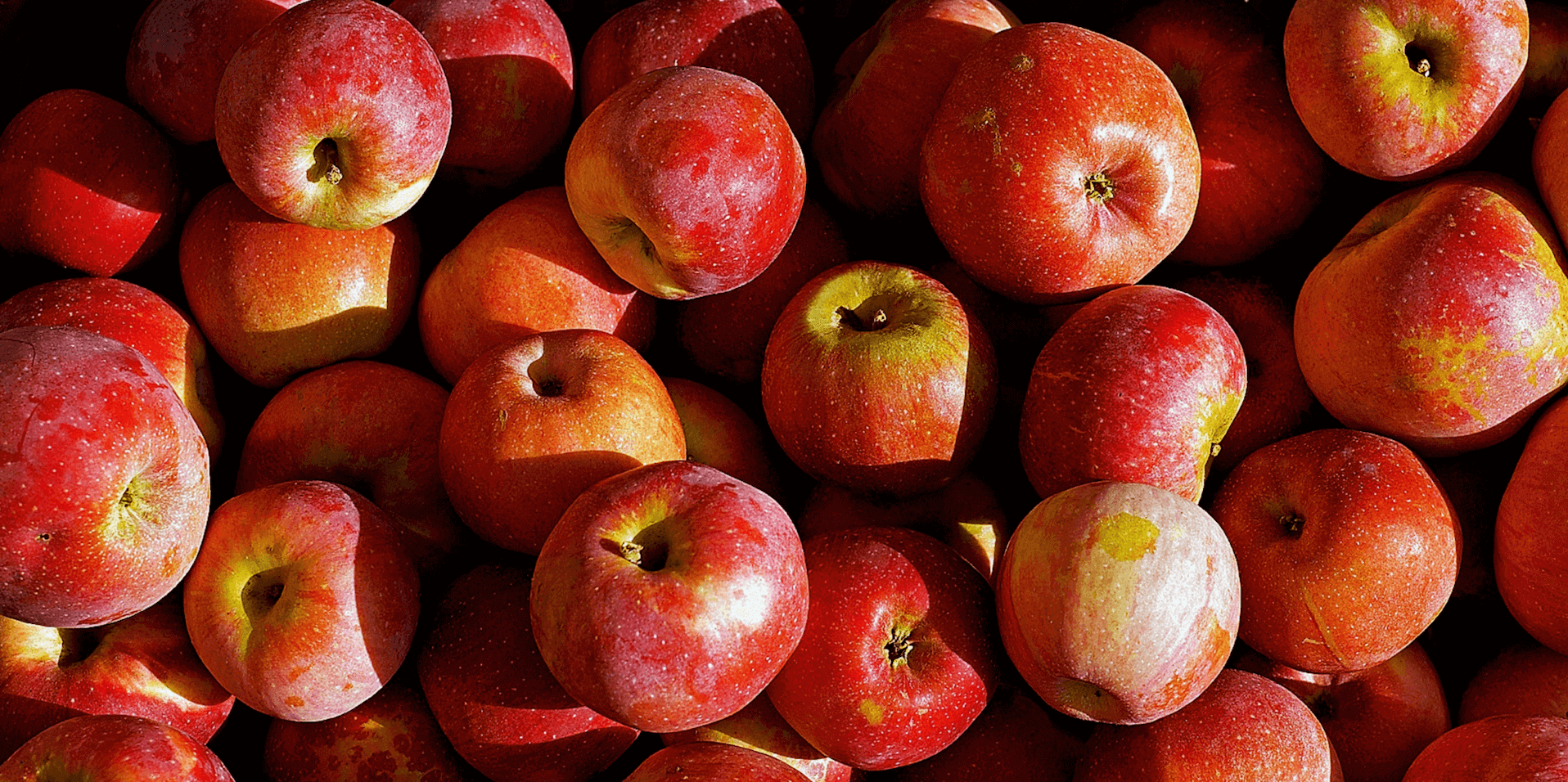 A vibrant collection of red apples with varying shades and speckles of yellow, closely packed together, highlighting their fresh, shiny skins.