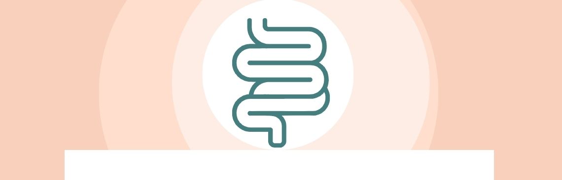 Banner image of intestines