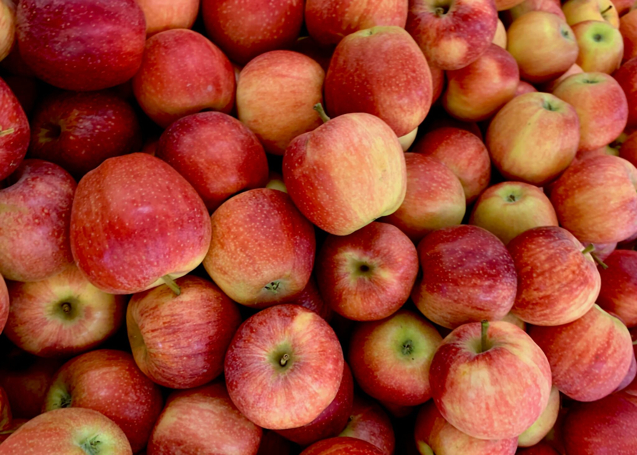 Apples, fructose malabsorption